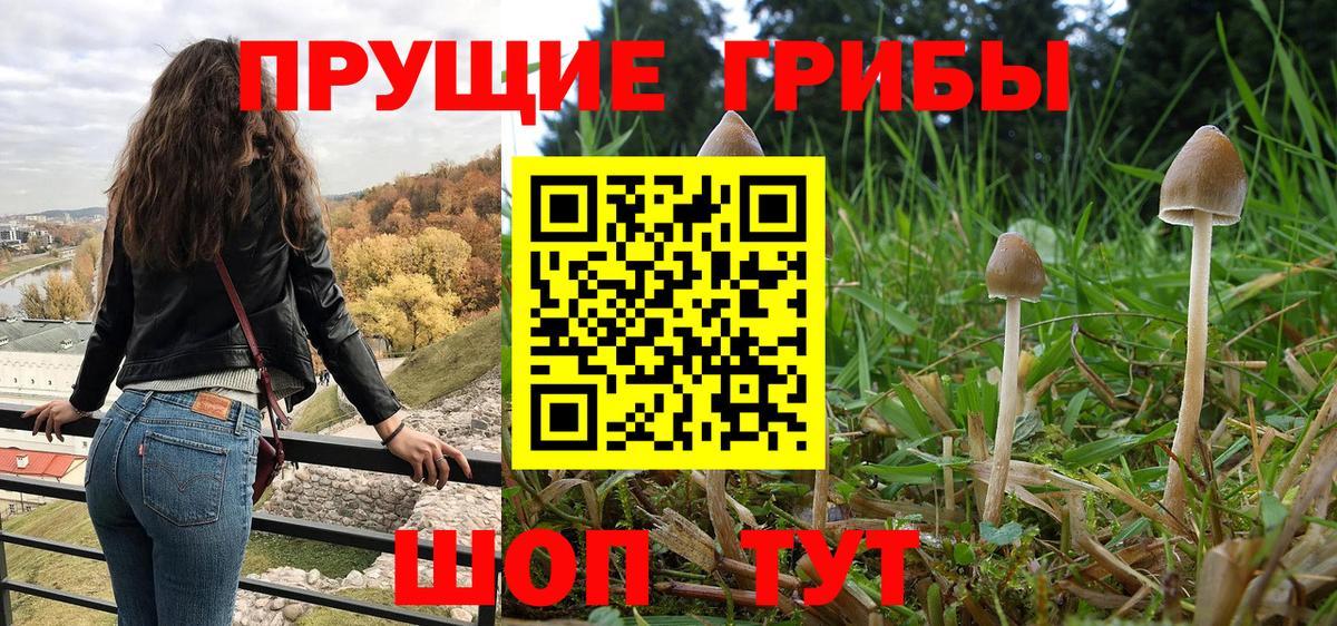 Котлас  Псилоцибиновые грибы GOLDEN TEACHER  Вход с VPN  Псилоцибиновые грибы Magic Shrooms 