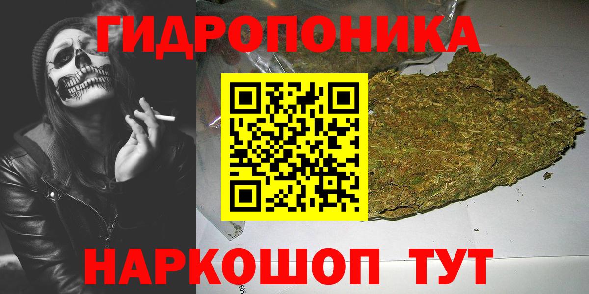 Канабис OG Kush Котлас